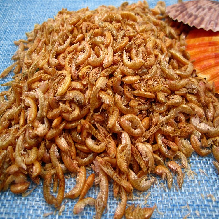 Sun Dried gammarus.JPG